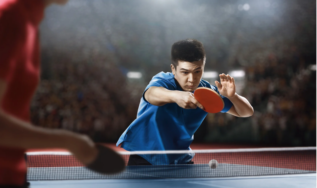 Buy Table Tennis Equipment Online in Pakistan – Sports Nation