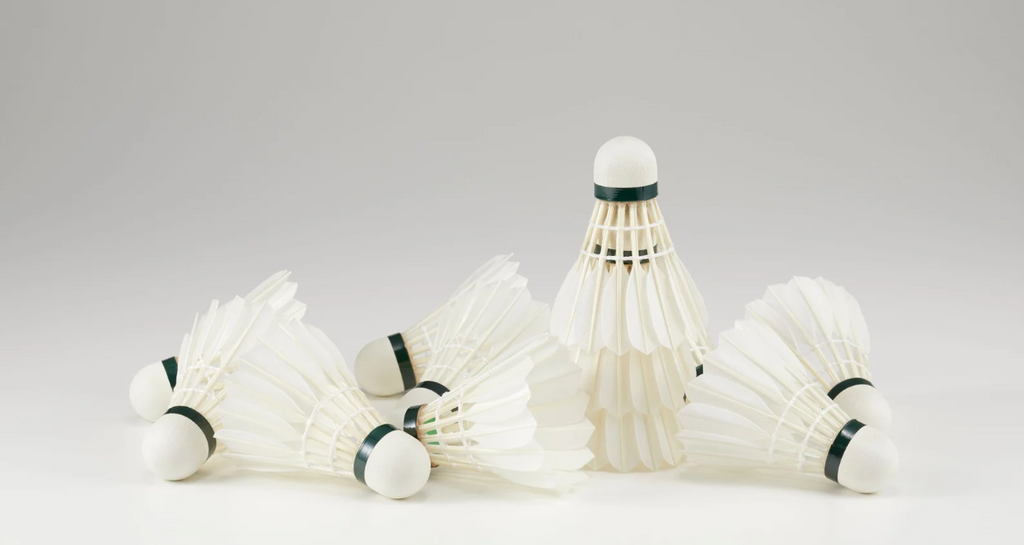 Badminton Shuttles in Pakistan
