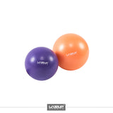 LIVE UP EXERCISE MINI BALL LS-3225 25-CM