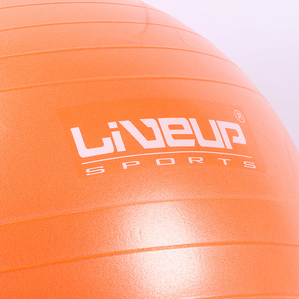 LIVE UP EXERCISE GYM BALLl 65 CM LS-3222