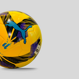 PUMA BALON OFFICIAL DE LALIGA TEMPORADA 2024-2025 FOOTBALL BAL