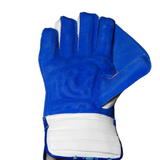 IHSAN 666 WICKET KEEPING GLOVES