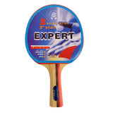 GIANT DRAGON EXPERT 2 STAR TABLE TENNIS RACKET