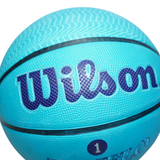 WILSON HORNETS BASKETBALL SIZE 7 INDOOR/OUTDOOR