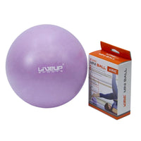 LIVE UP EXERCISE MINI BALL LS-3225 20-CM