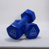 LIFTUP VINYL WEIGHT LIFTING DUMBBELLS PAIR 3 KG