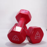 LIFTUP VINYL WEIGHT LIFTING DUMBBELLS PAIR 5 KG