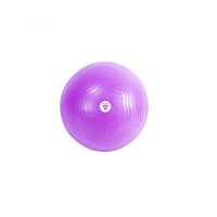 LIVE PRO EXERCISE GYM BALL 55CM LP-8201