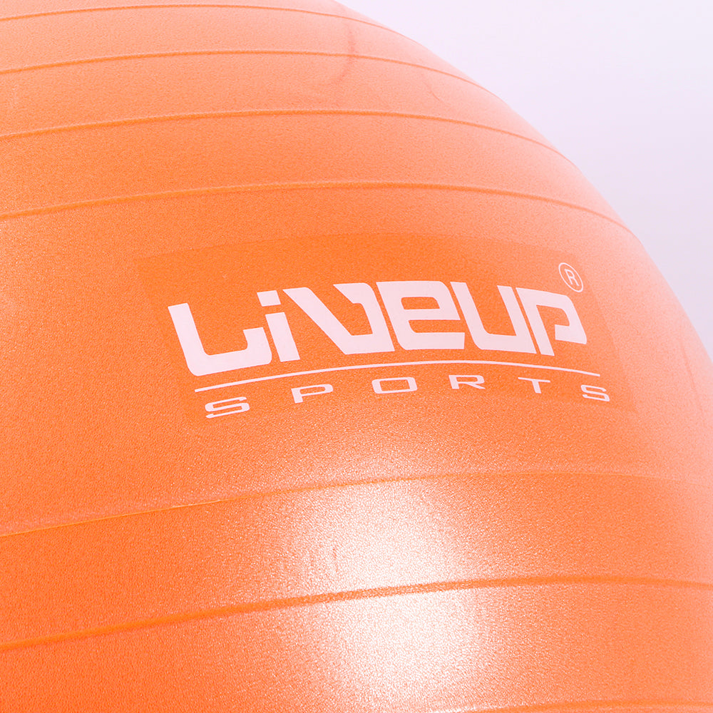 Liveup Fitness Gym Ball Exercise Ball LS3222