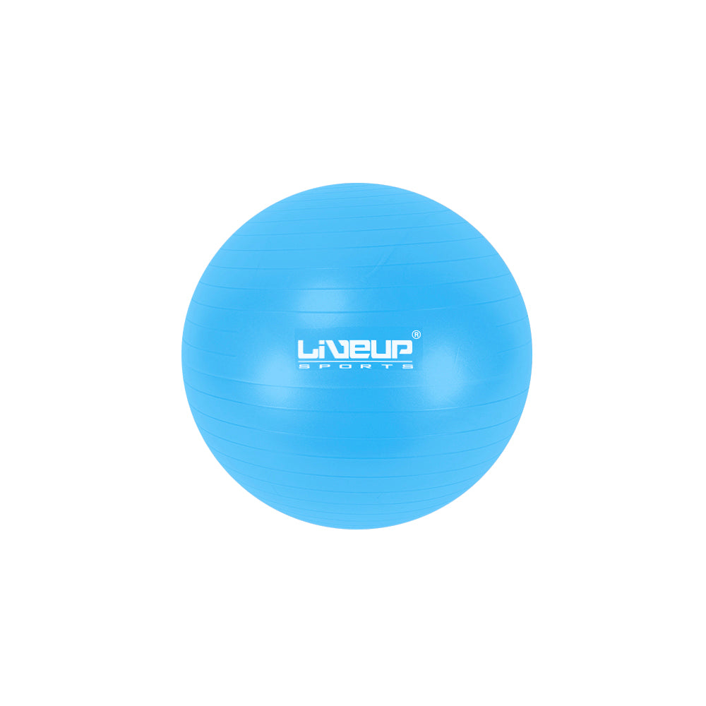 Liveup Fitness Gym Ball Exercise Ball LS3222