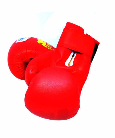 Boxing gloves venum kids