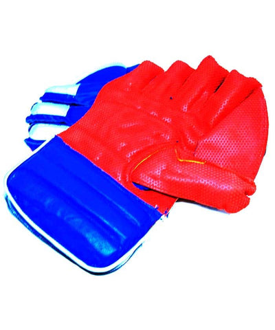 Hard Keeping Gloves Gray-Nicolls